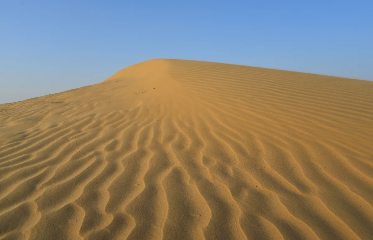 Dune Imperium Uprising Review (2026) — world and desert