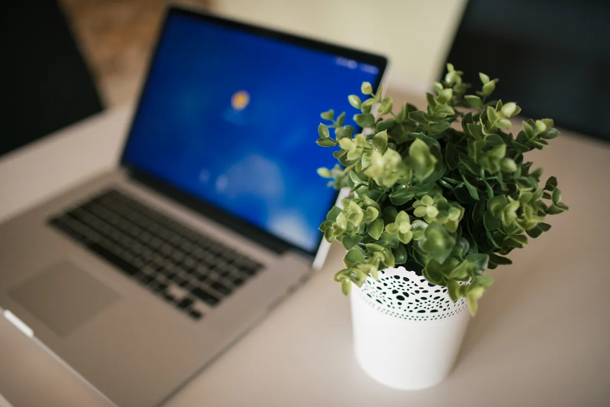Framework Laptop 13 Review (2026) — daily workspace use